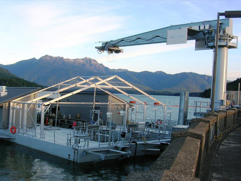 Jib Cranes for Outdoor Fresh Water Environment | American Crane